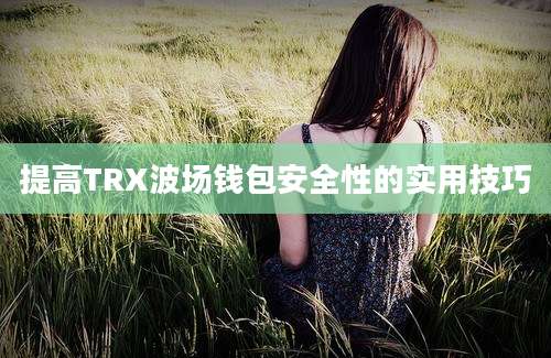 提高TRX波场钱包安全性的实用技巧