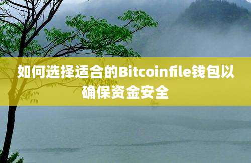 如何选择适合的Bitcoinfile钱包以确保资金安全