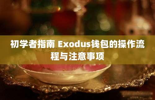 初学者指南 Exodus钱包的操作流程与注意事项