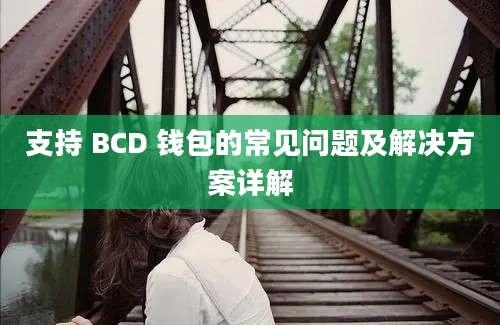 支持 BCD 钱包的常见问题及解决方案详解