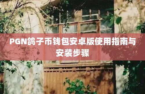 PGN鸽子币钱包安卓版使用指南与安装步骤