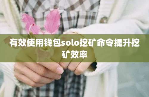 有效使用钱包solo挖矿命令提升挖矿效率