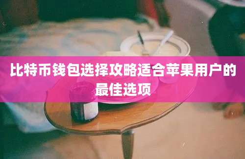 比特币钱包选择攻略适合苹果用户的最佳选项