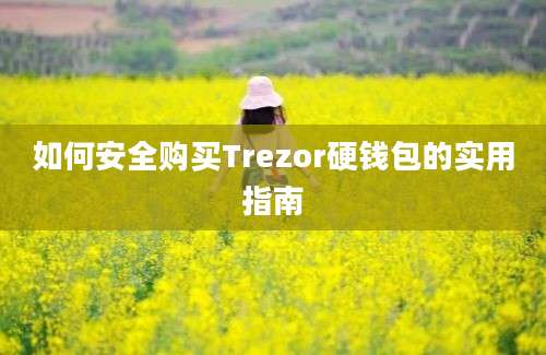 如何安全购买Trezor硬钱包的实用指南