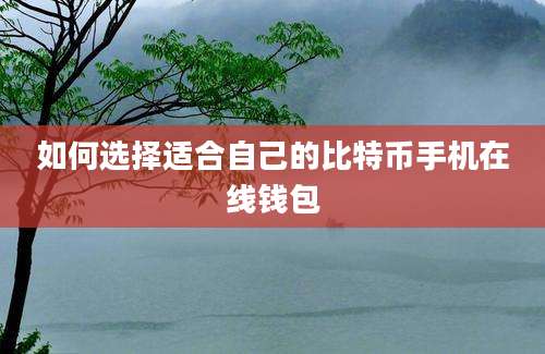 如何选择适合自己的比特币手机在线钱包