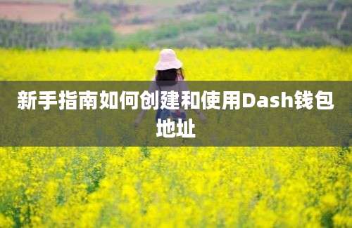 新手指南如何创建和使用Dash钱包地址