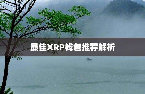 最佳XRP钱包推荐解析