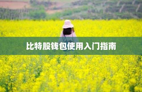 比特股钱包使用入门指南