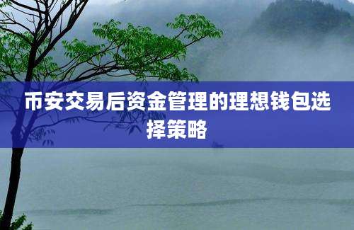 币安交易后资金管理的理想钱包选择策略