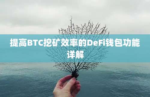 提高BTC挖矿效率的DeFi钱包功能详解