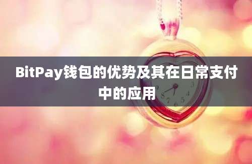 BitPay钱包的优势及其在日常支付中的应用