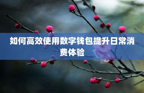 如何高效使用数字钱包提升日常消费体验