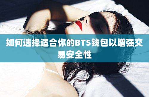 如何选择适合你的BTS钱包以增强交易安全性