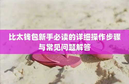 比太钱包新手必读的详细操作步骤与常见问题解答