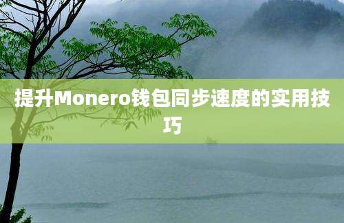 提升Monero钱包同步速度的实用技巧