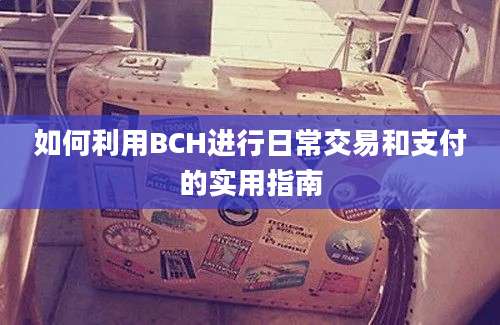 如何利用BCH进行日常交易和支付的实用指南