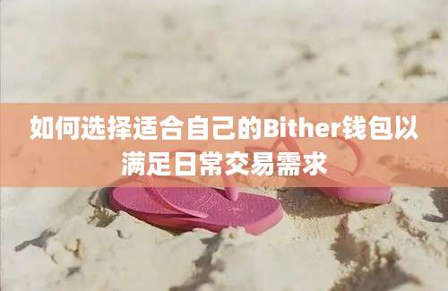 如何选择适合自己的Bither钱包以满足日常交易需求