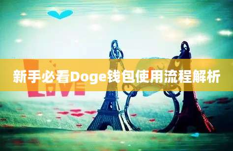 新手必看Doge钱包使用流程解析