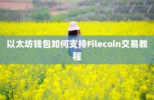 以太坊钱包如何支持Filecoin交易教程