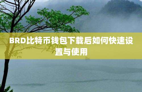 BRD比特币钱包下载后如何快速设置与使用