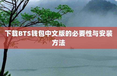 下载BTS钱包中文版的必要性与安装方法