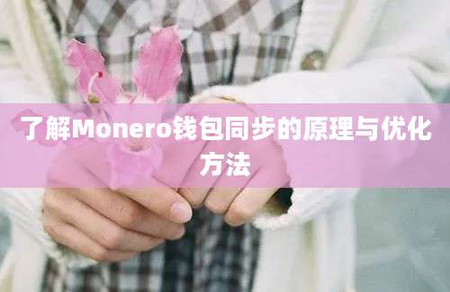 了解Monero钱包同步的原理与优化方法