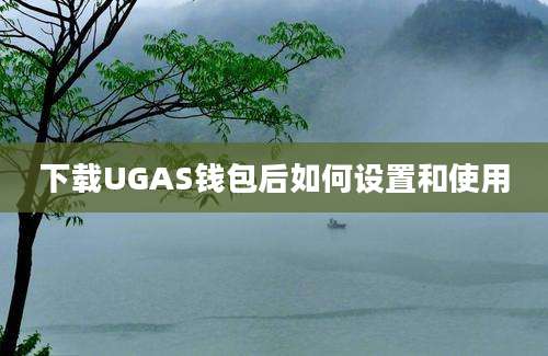 下载UGAS钱包后如何设置和使用