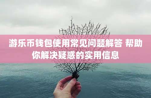 游乐币钱包使用常见问题解答 帮助你解决疑惑的实用信息