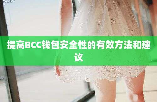 提高BCC钱包安全性的有效方法和建议