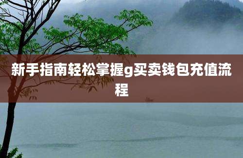 新手指南轻松掌握g买卖钱包充值流程