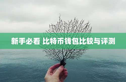 新手必看 比特币钱包比较与评测