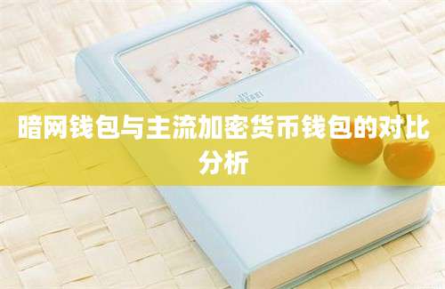 暗网钱包与主流加密货币钱包的对比分析