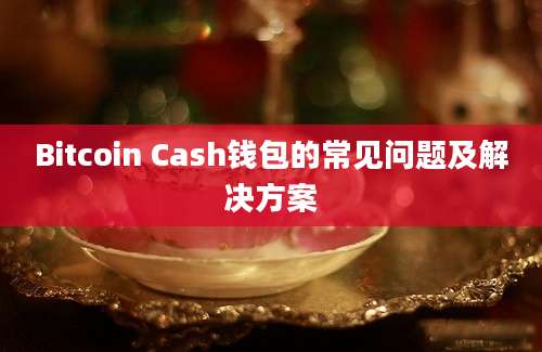 Bitcoin Cash钱包的常见问题及解决方案