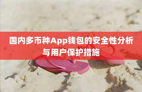 国内多币种App钱包的安全性分析与用户保护措施