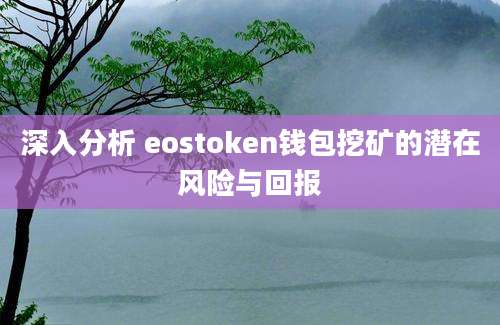 深入分析 eostoken钱包挖矿的潜在风险与回报