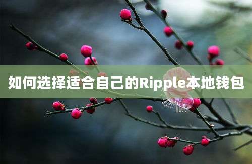 如何选择适合自己的Ripple本地钱包