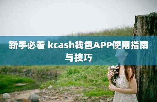 新手必看 kcash钱包APP使用指南与技巧