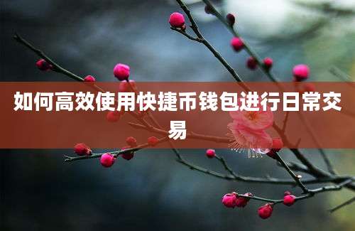 如何高效使用快捷币钱包进行日常交易