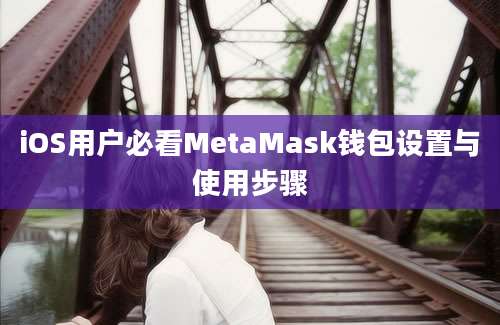 iOS用户必看MetaMask钱包设置与使用步骤