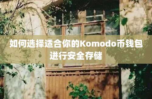 如何选择适合你的Komodo币钱包进行安全存储