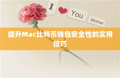 提升Mac比特币钱包安全性的实用技巧