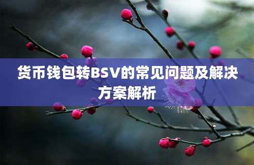 货币钱包转BSV的常见问题及解决方案解析