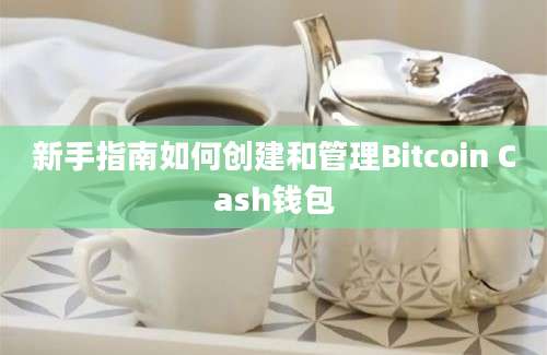 新手指南如何创建和管理Bitcoin Cash钱包