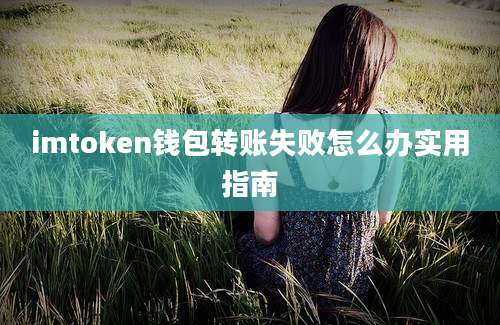 imtoken钱包转账失败怎么办实用指南