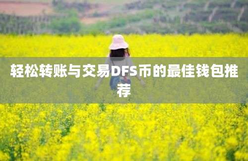 轻松转账与交易DFS币的最佳钱包推荐