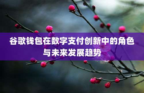 谷歌钱包在数字支付创新中的角色与未来发展趋势