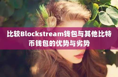 比较Blockstream钱包与其他比特币钱包的优势与劣势