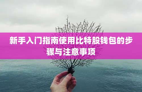 新手入门指南使用比特股钱包的步骤与注意事项