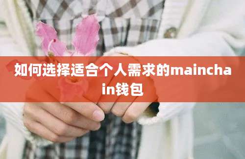 如何选择适合个人需求的mainchain钱包