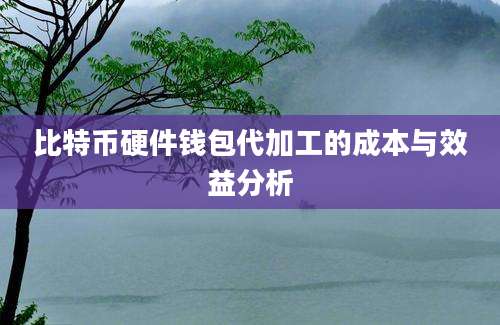 比特币硬件钱包代加工的成本与效益分析